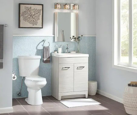 Glacier Bay 1-piece toilet review