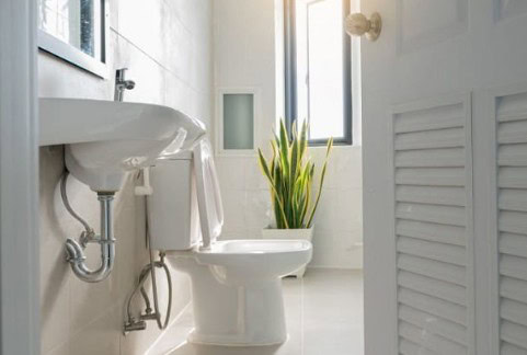 Glacier bay vs kohler toilet reviews