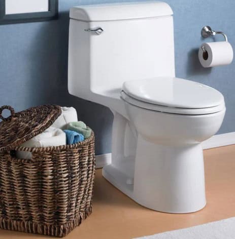 Which toilet flushes golf balls?