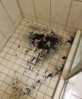 What is the black sludge in drain pipes